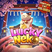 neko may man